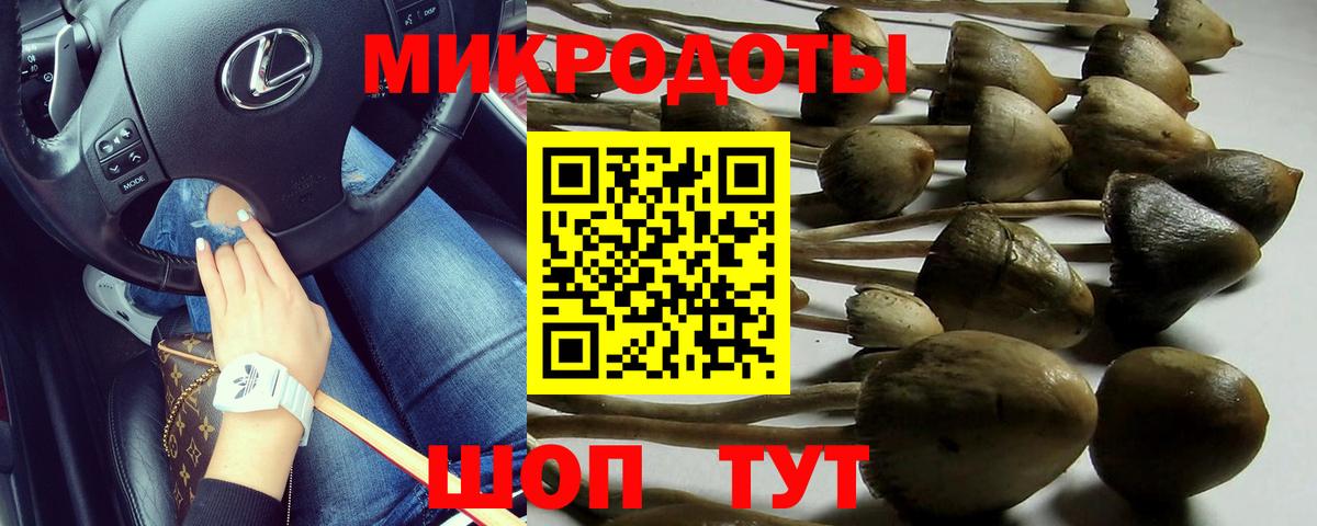 Псилоцибиновые грибы MAGIC MUSHROOMS  Вход с VPN  Галлюциногенные грибы Psilocybe  Берёзовский 