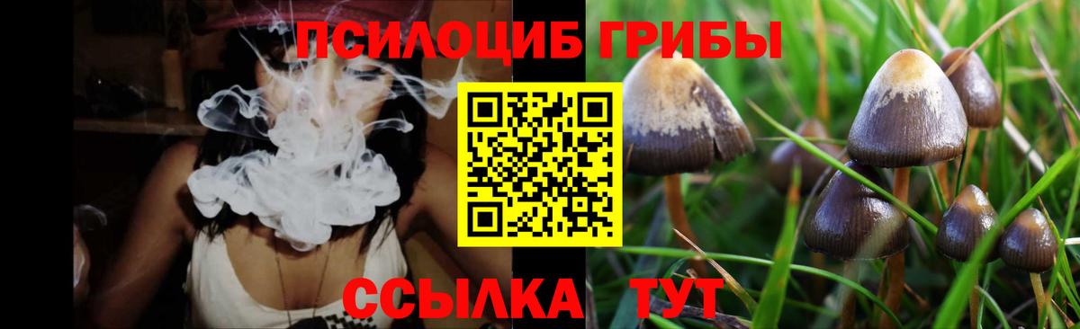 Псилоцибиновые грибы Psilocybine cubensis Берёзовский